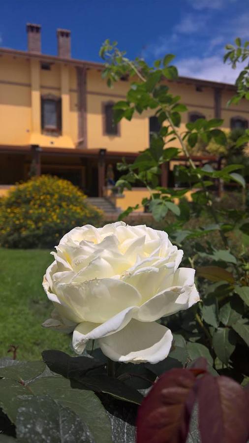 Boma Countryhouse Casale Bufalotta Exterior photo